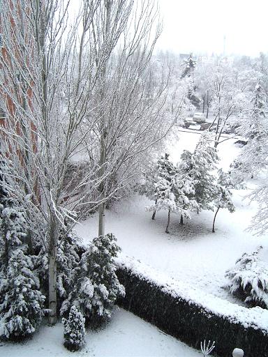 snow03.JPG