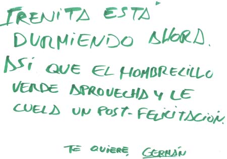 Incursi�n nocturna y alevosa en el blog �ntimo de mi Irenita...