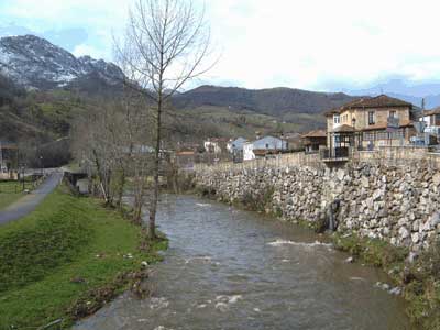 Cabrales, con dos cabras montesas locas perd�as sueltas por ah�