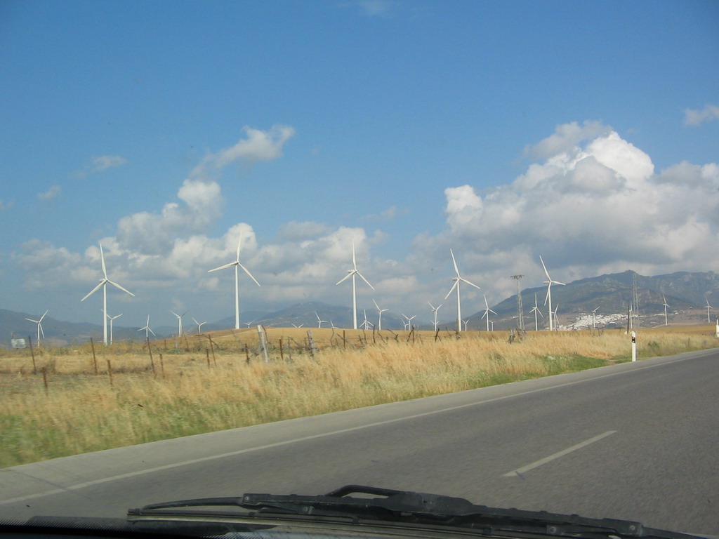 molinos.JPG