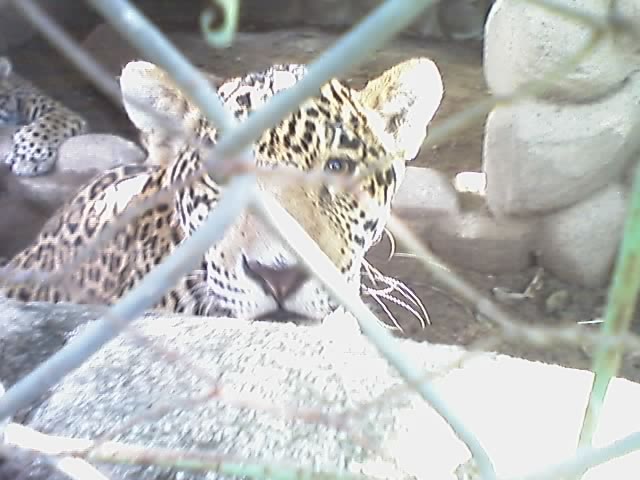 17-10-04_1505.jpg