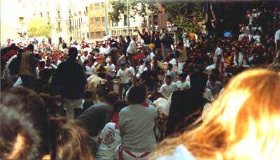 Miprimerencierro.jpg