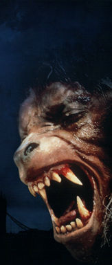 lobo.jpg
