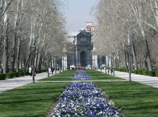 Calle+alcala