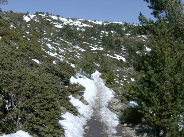 HPIM0391.JPG