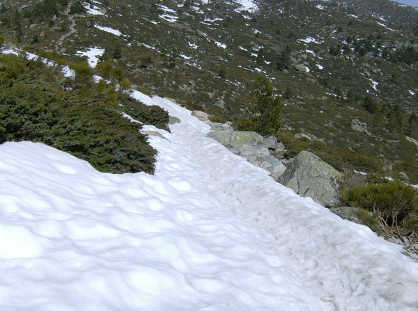 HPIM0398.JPG