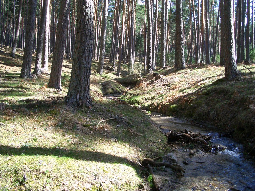 cimg0561-1024.jpg