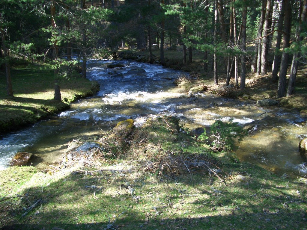 cimg0566-1024.jpg