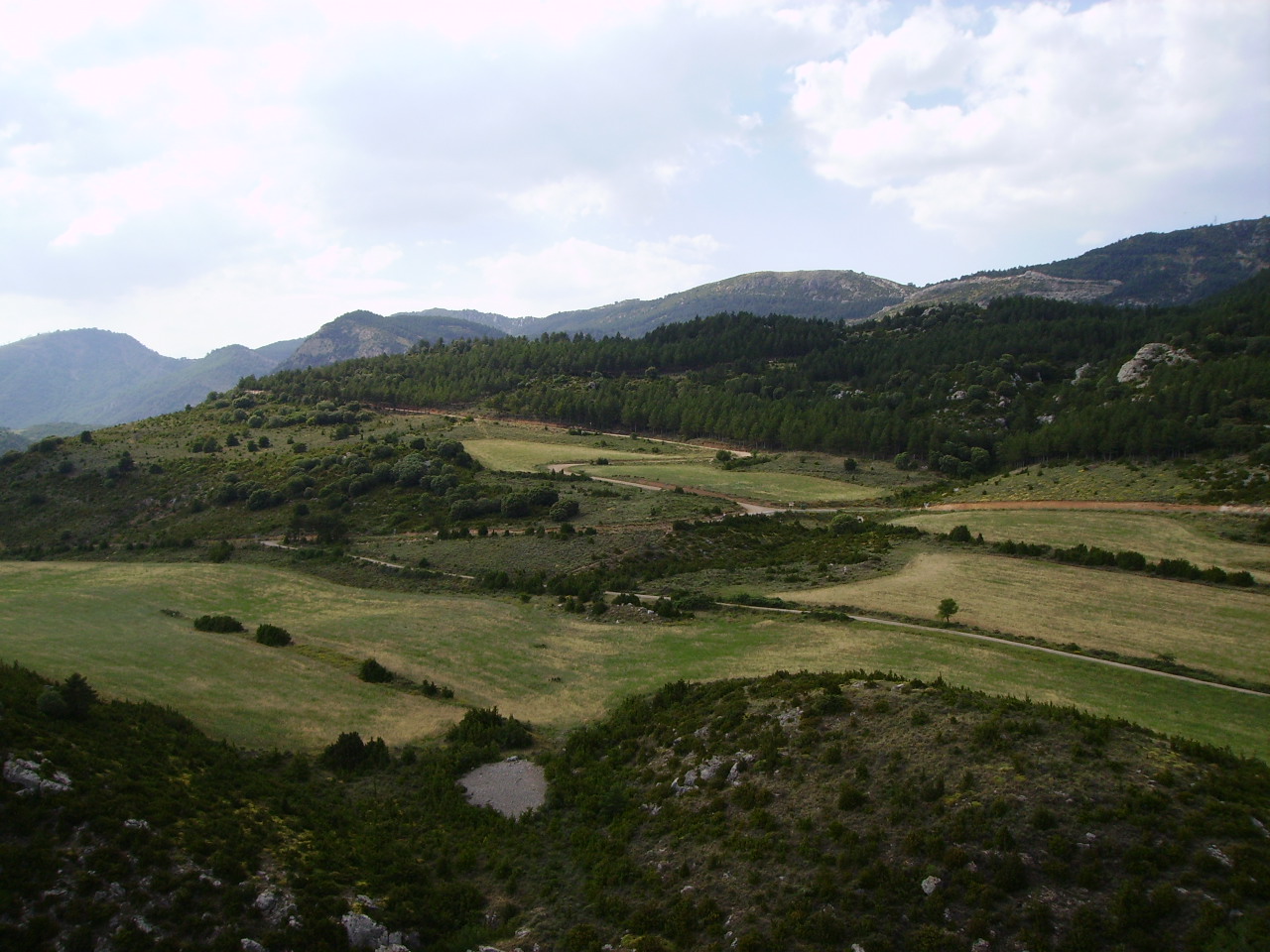 imgp0025.jpg