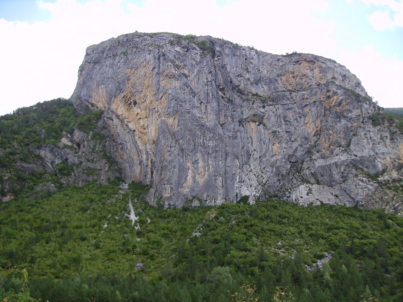 imgp0161.jpg