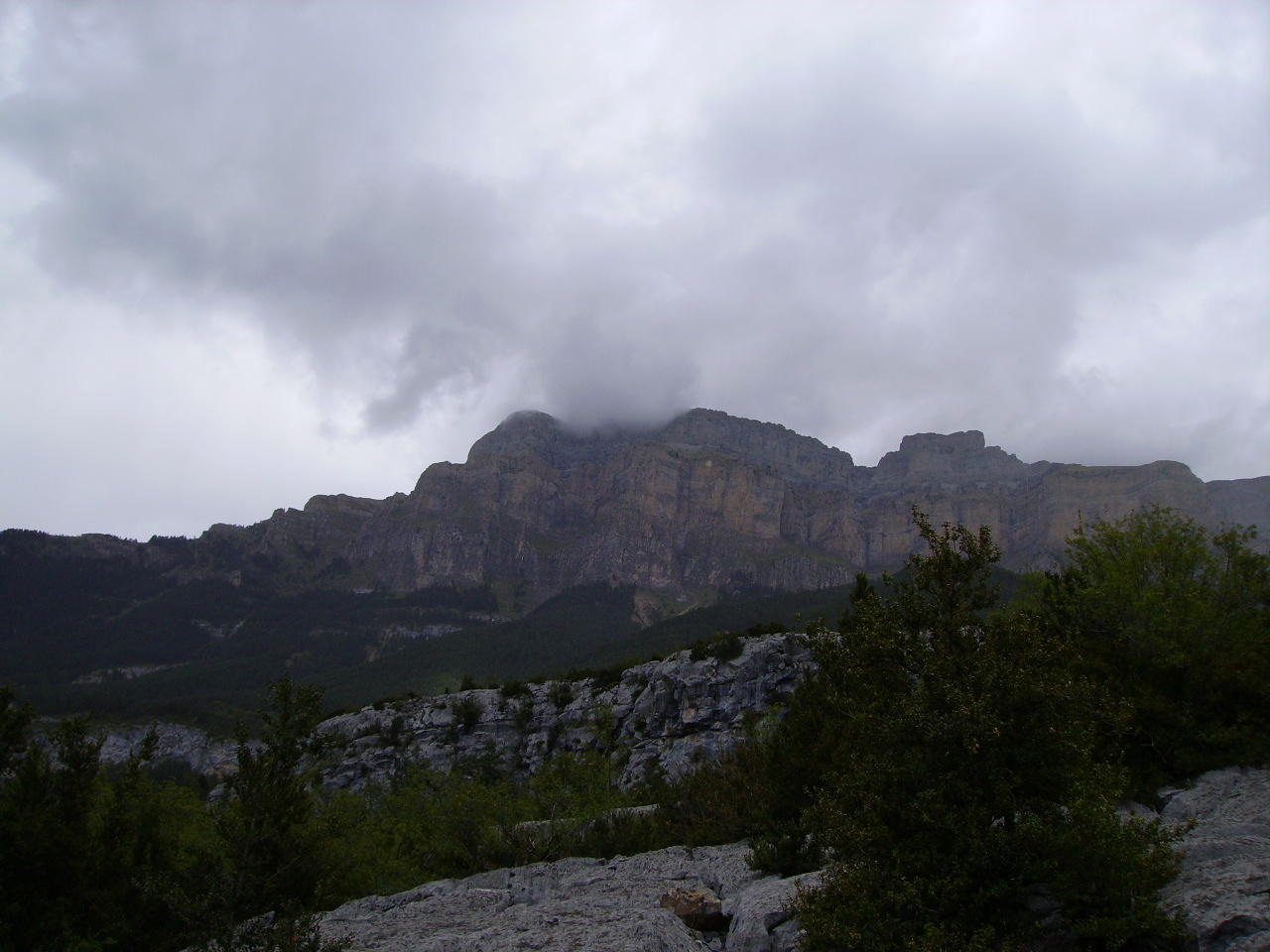 imgp0179.jpg