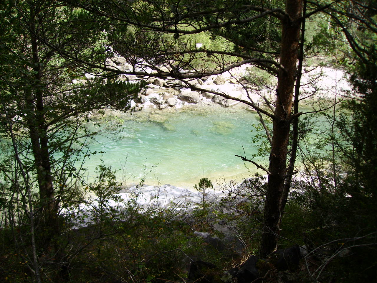 imgp0189.jpg