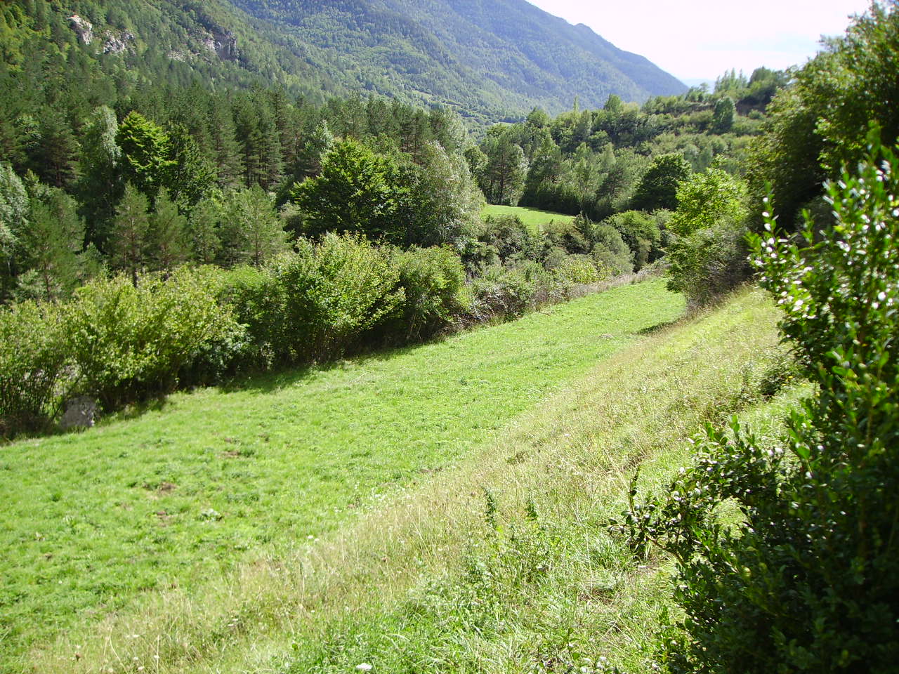 imgp0191.jpg