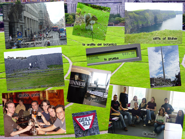 dublinmosaic.jpg