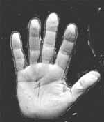 mano.jpg