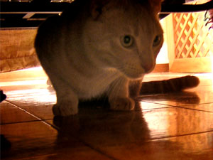 DSCN5213.jpg