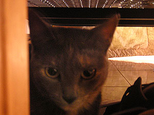 DSCN5220.jpg