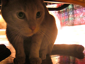 DSCN5221.jpg
