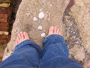 DSCN5297.jpg