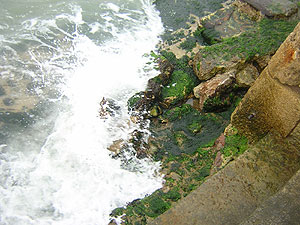 DSCN5315.jpg