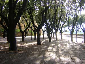 DSCN5318.jpg