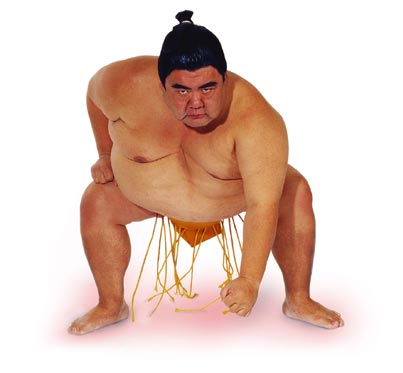 sumo.jpg