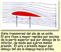 wing.jpg