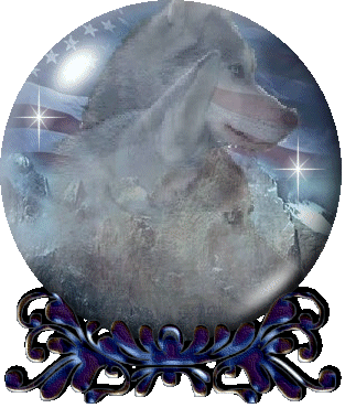 husky1.gif