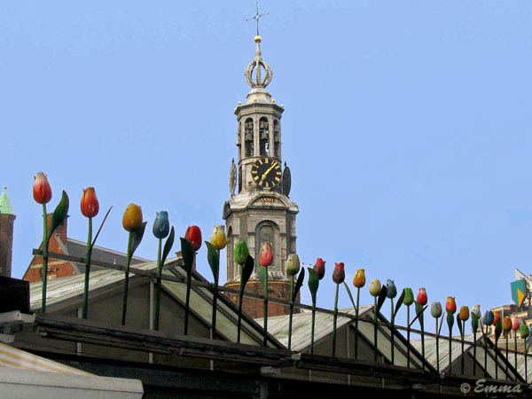 IMG_5986_1.jpg