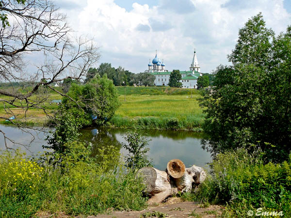 P1000756.jpg