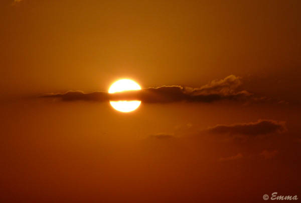 P1010646_2.jpg