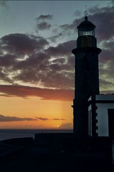 __9_0065.jpg