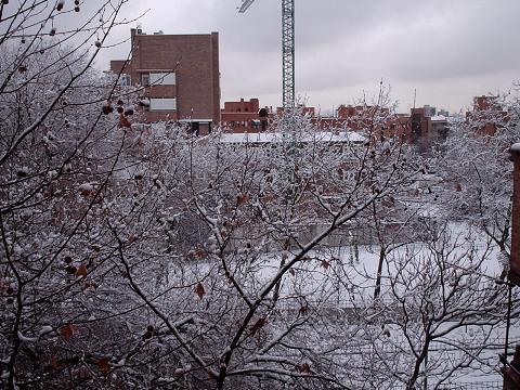 miventana03.JPG