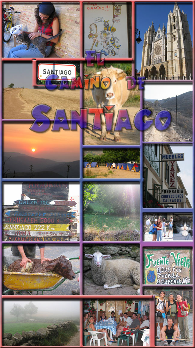 camino.jpg