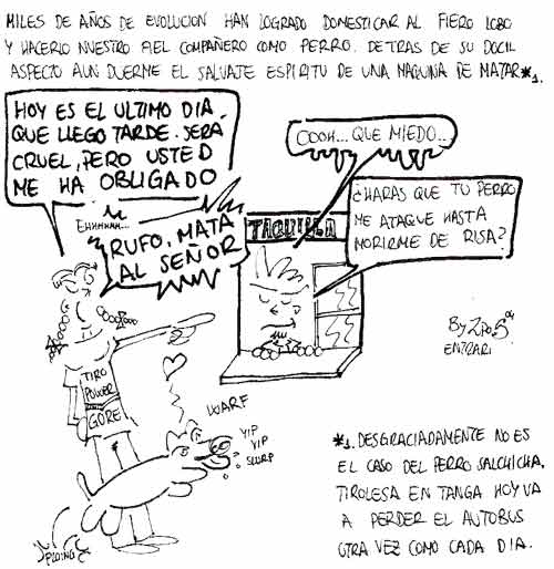 Tirolesa1.jpg