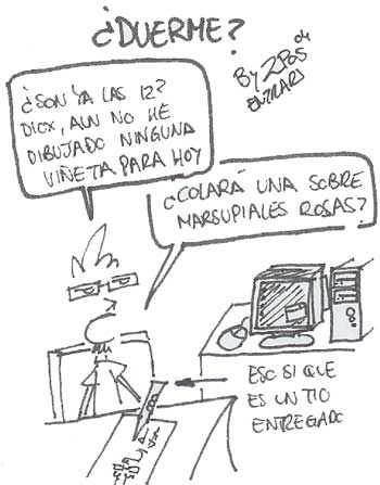 mivida6.jpg