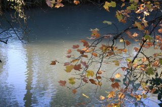 62912936_a599eb6a7a.jpg
