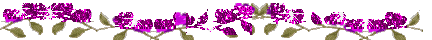 Barra034.gif