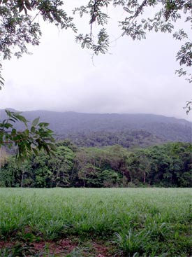 EEGbdTransectaAltitudinal.jpg
