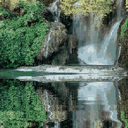 Rio.gif