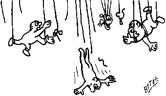 SALTAR.gif