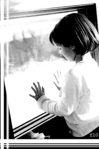 Window.jpg