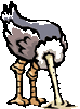 avestruz.gif