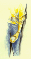 brazo1.gif