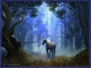 caballo.jpg