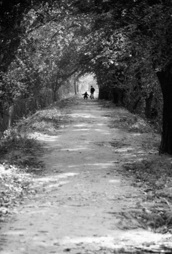 camino.jpg