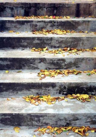 escalones.jpg