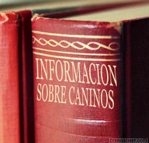 libro.jpg