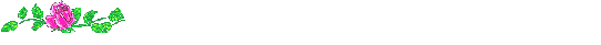 linea.gif