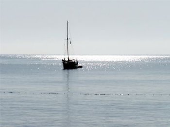 mplata-small.jpg